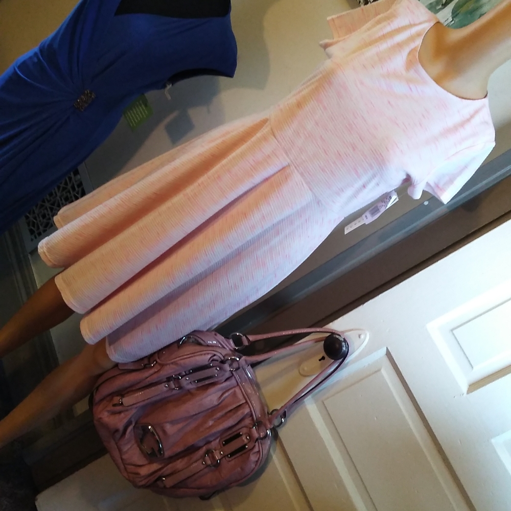 NWT lpink and white dress / lining
